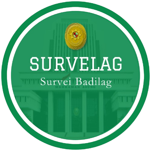 survelag